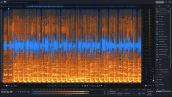 iZotope RX 11 Standard: CRG from any paid iZotope product (Digitális termék)