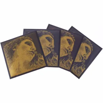 Pirastro Evah Pirazzi Gold G-Gold BE