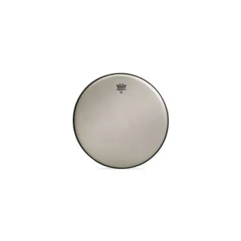 Remo 14 Renaissance Ambassador