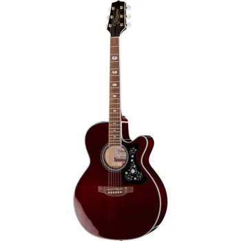 Takamine GN75CEWR