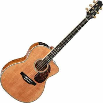 Takamine LTD2022 Natural Elektroakusztikus gitár (Használt )