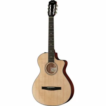 Taylor 312ce-N Nylon