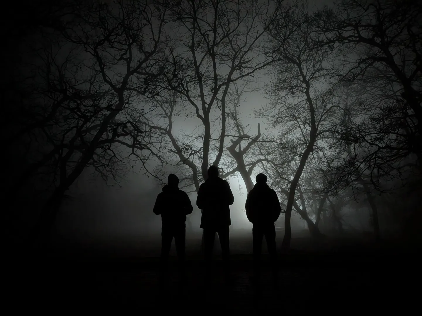 „Akkor hallgatom, amikor kicsit lassítanék” – A Törzs kedvenc 2025-ös zenéi