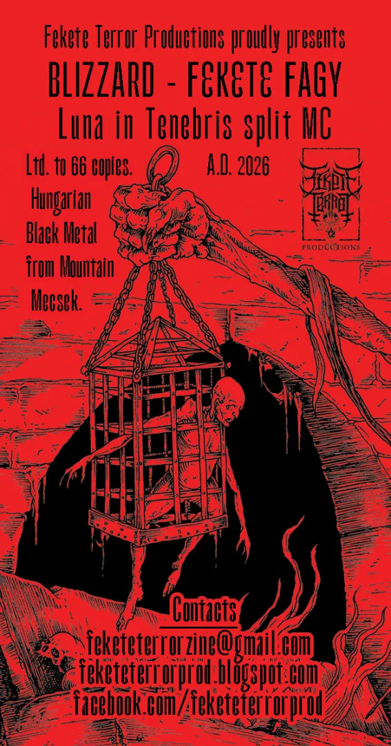 Blizzard / FeketeFagy - Közös split