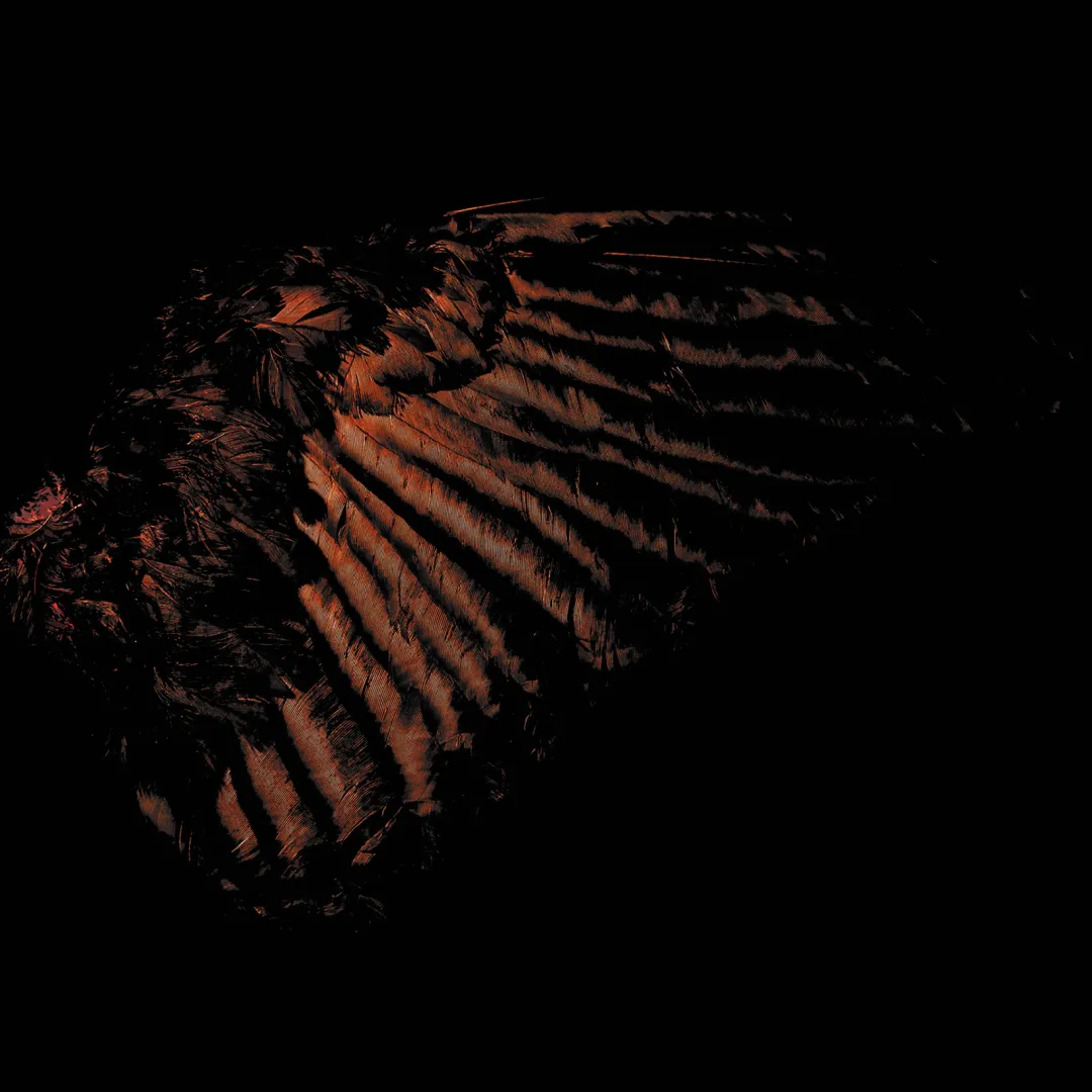 Fryktelig Stoy - Incendescent (2025)