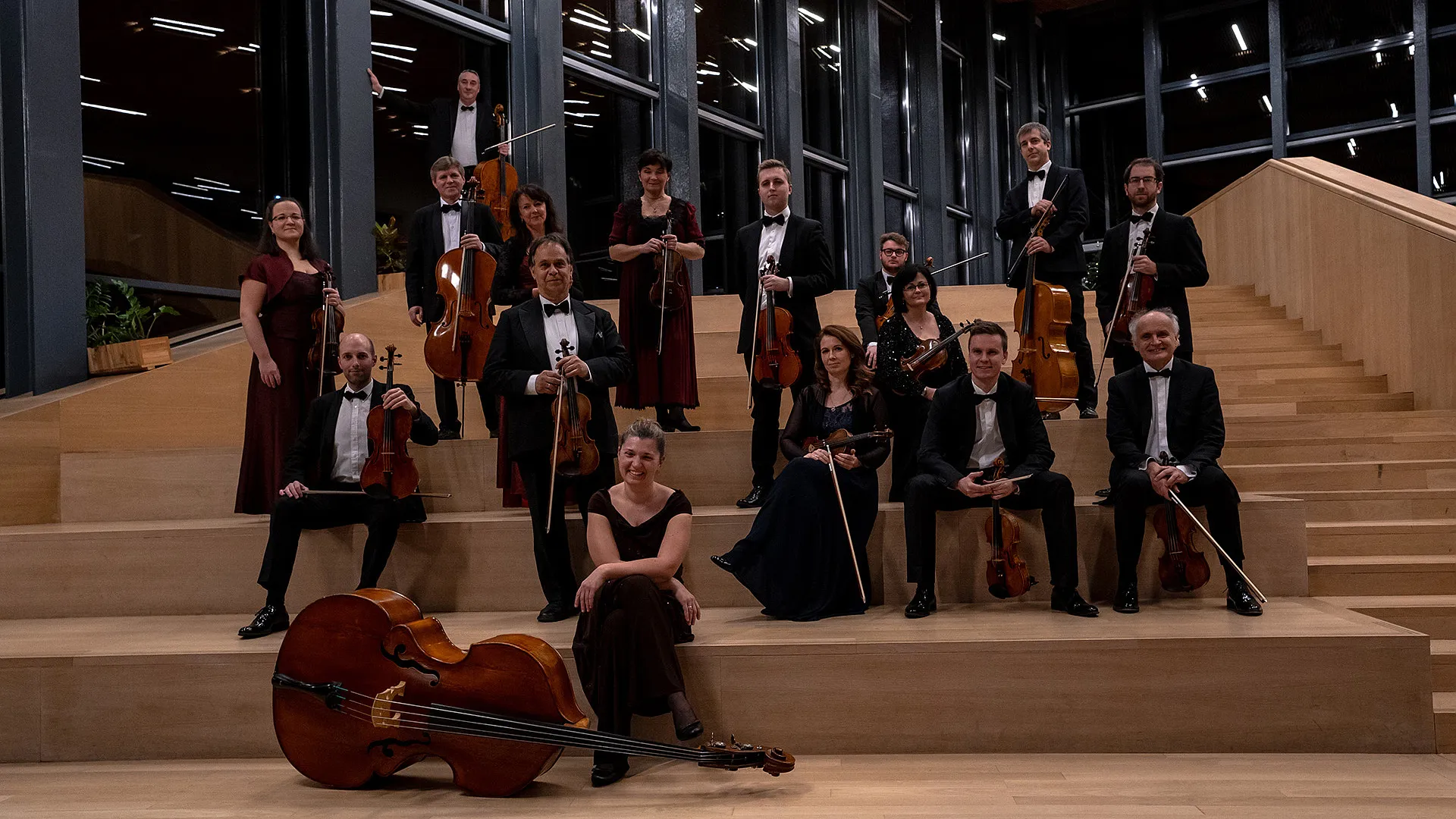 Jótékonysági hangversenyre készül a Budapesti Vonósok