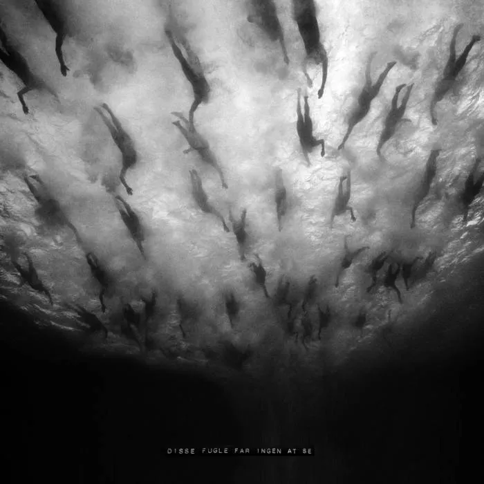 Morild - Disse Fugle Får Ingen At Se (2025)