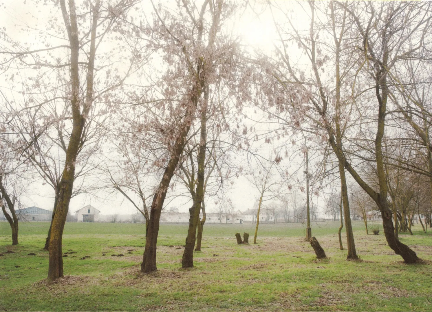Ők az új helyszínre költöző Kolorádó Fesztivál első hazai fellépői