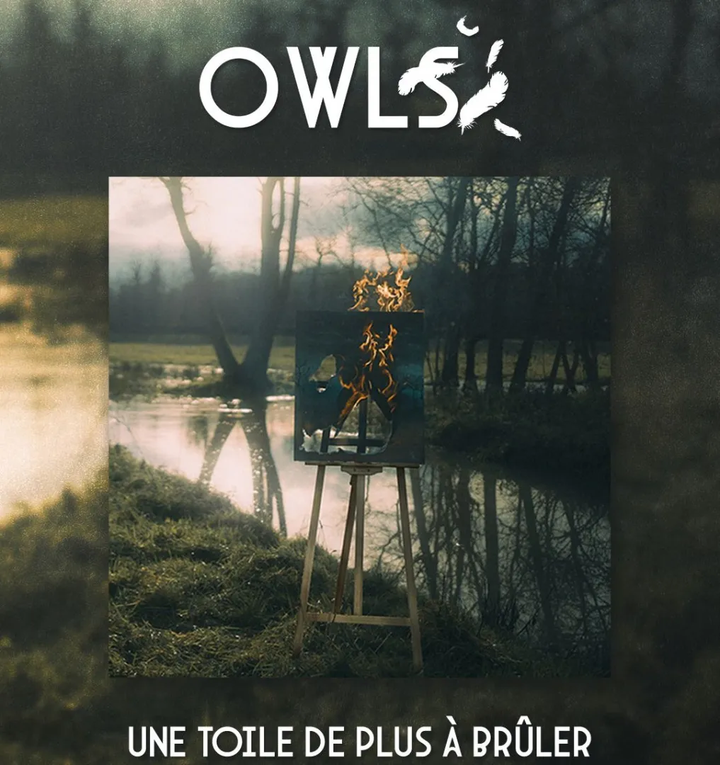 OWLS - Éjszakai ragadozó madarak