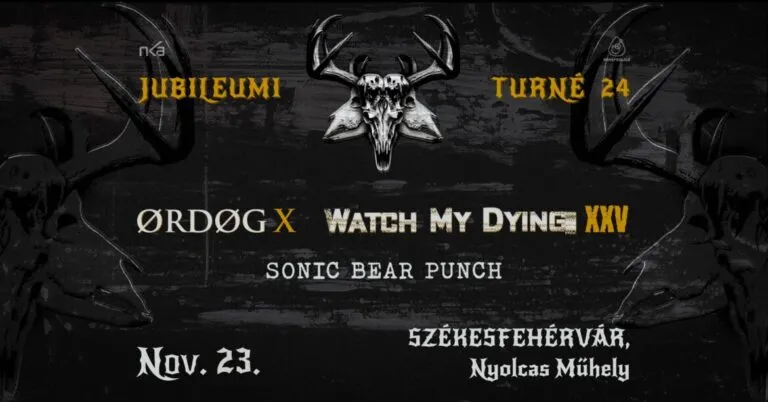 Sonic Bear Punch - Minden visszaszáll - új videó