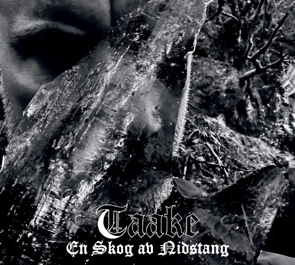 Taake - Az erdő sötétsége