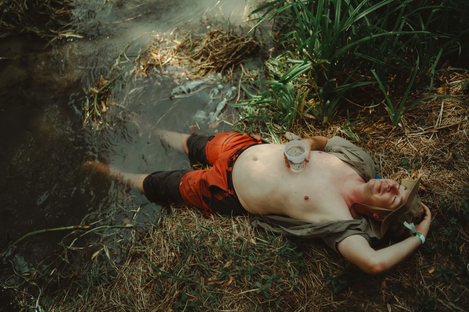 Új fellépők a 35. Művészetek Völgyében