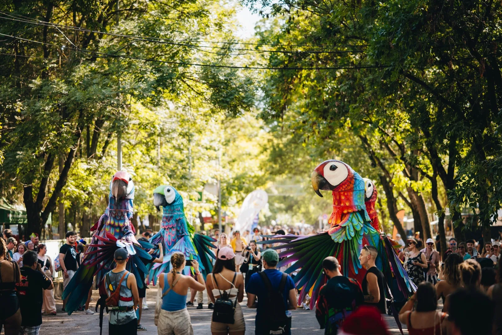 Újabb fellépőket jelentett be 2026-ra a Sziget Fesztivál