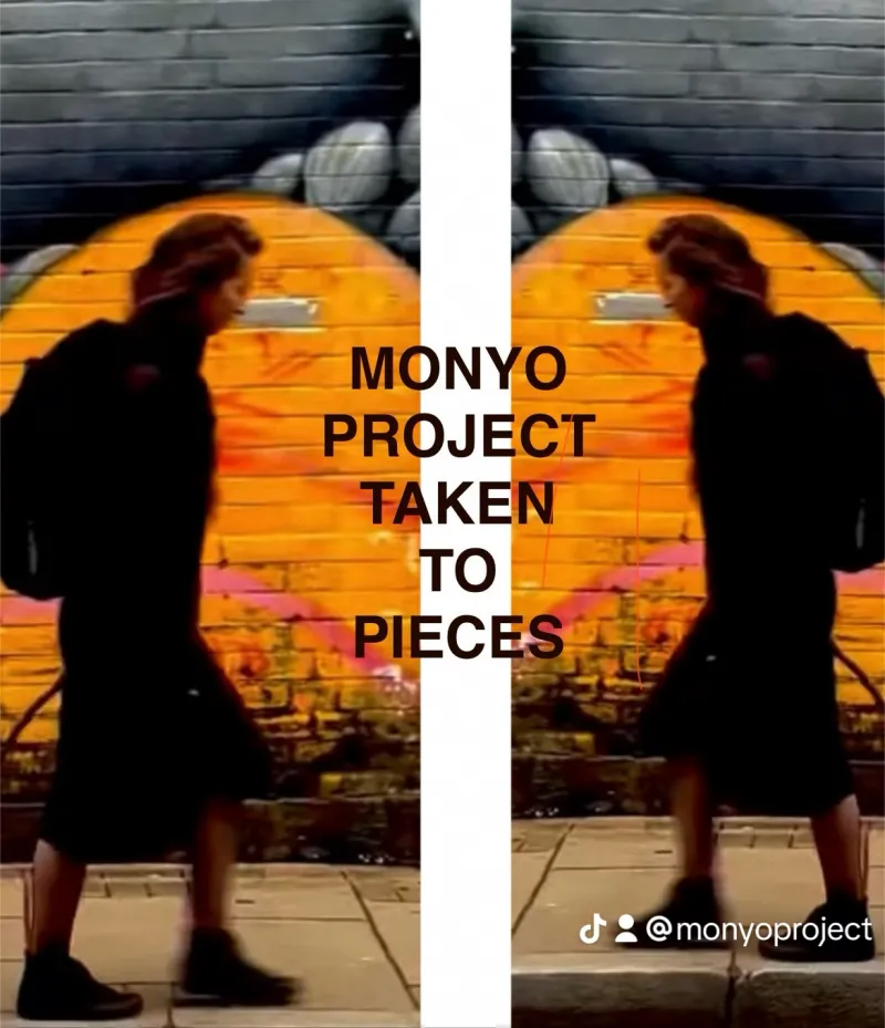 Monyo Project