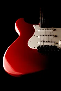 Wire Strains - Dire Straits Tribute Band