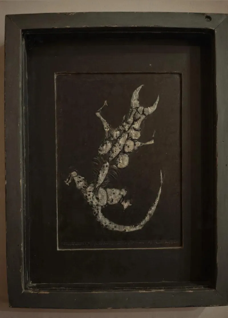 syzygy426, Solid Lizard ( :