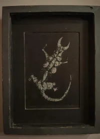 syzygy426, Solid Lizard ( :